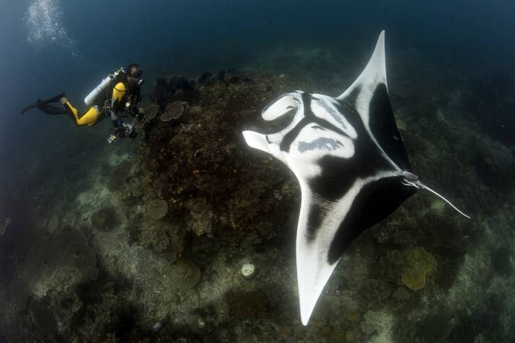 Daily Picdump [WEEKEND EDITION]