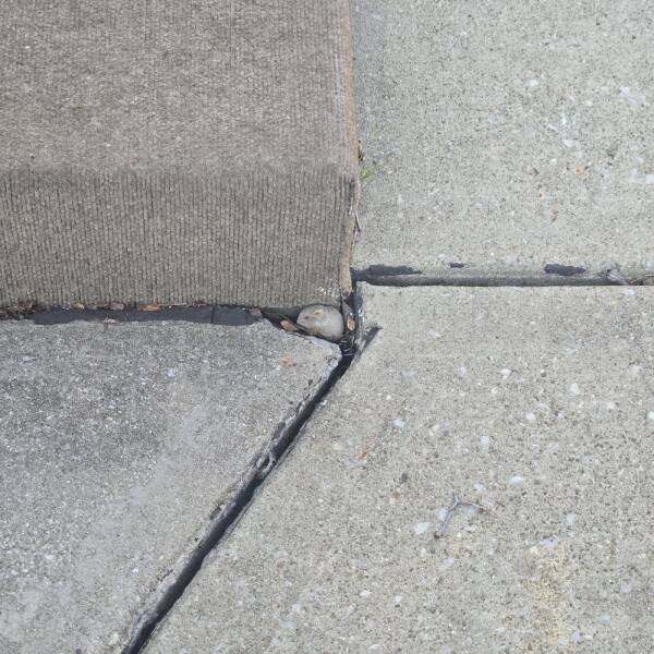 Daily Picdump [WEEKEND EDITION]