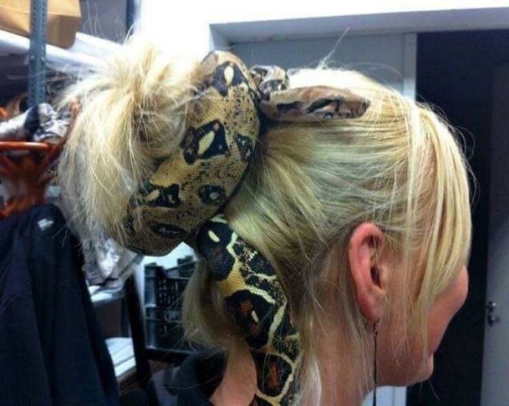 Daily Picdump [WEEKEND EDITION]