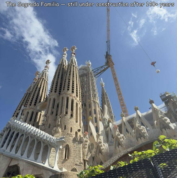 Daily Picdump [WEEKEND EDITION]