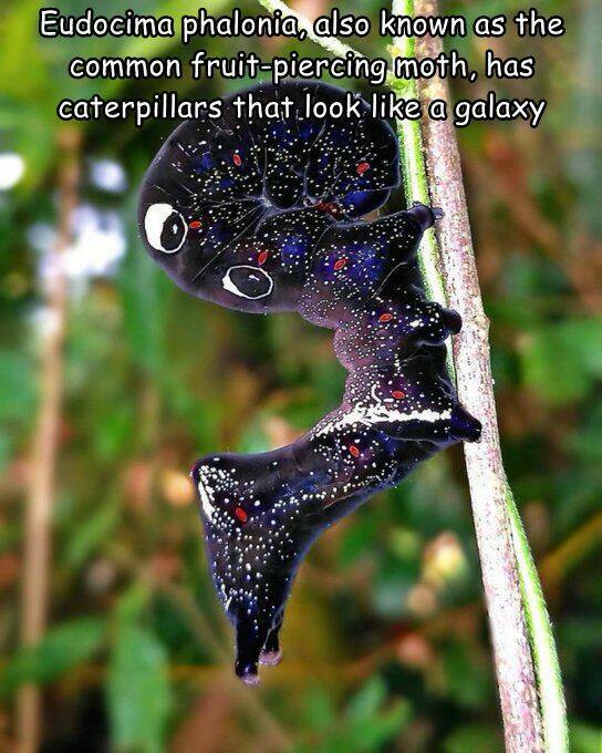 Daily Picdump [WEEKEND EDITION]