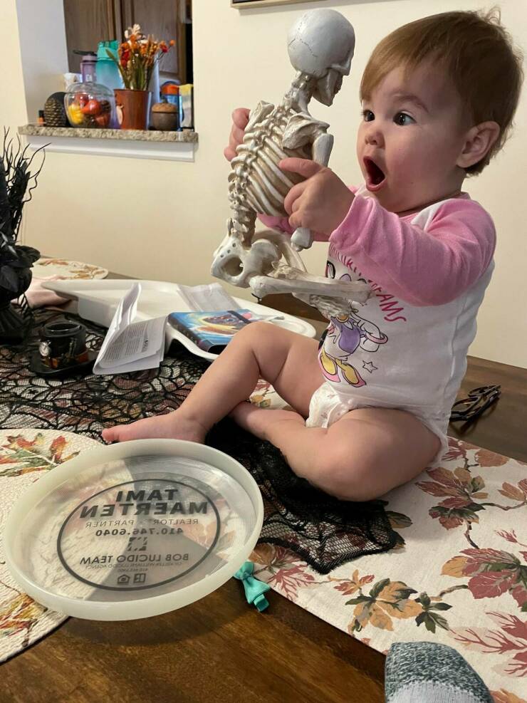 Daily Picdump [WEEKEND EDITION]