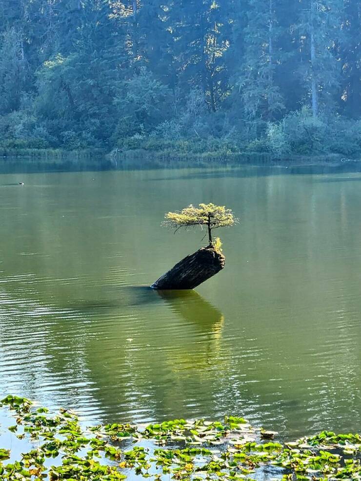 Daily Picdump [WEEKEND EDITION]