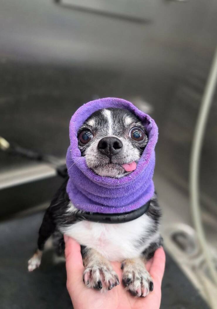 Daily Picdump [WEEKEND EDITION]