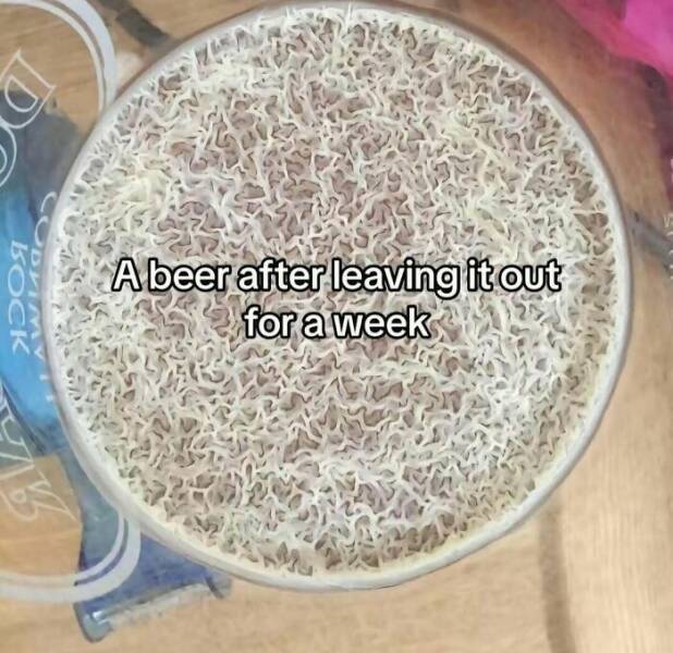 Intriguing Finds For Inquisitive Minds