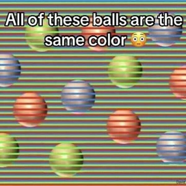 Intriguing Finds For Inquisitive Minds