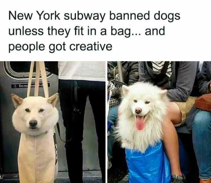 Intriguing Finds For Inquisitive Minds