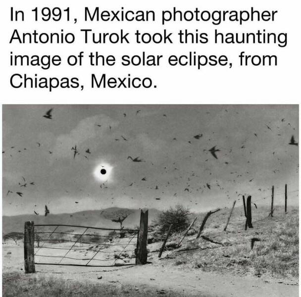 Intriguing Finds For Inquisitive Minds