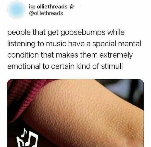 Intriguing Finds For Inquisitive Minds