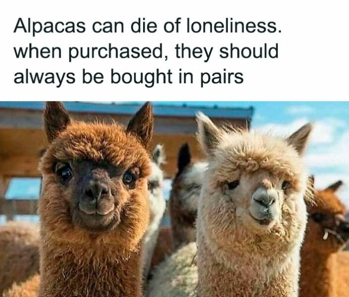 Intriguing Finds For Inquisitive Minds