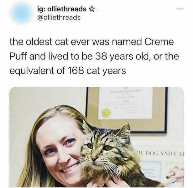 Intriguing Finds For Inquisitive Minds