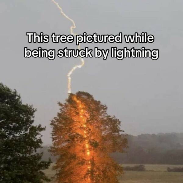 Intriguing Finds For Inquisitive Minds