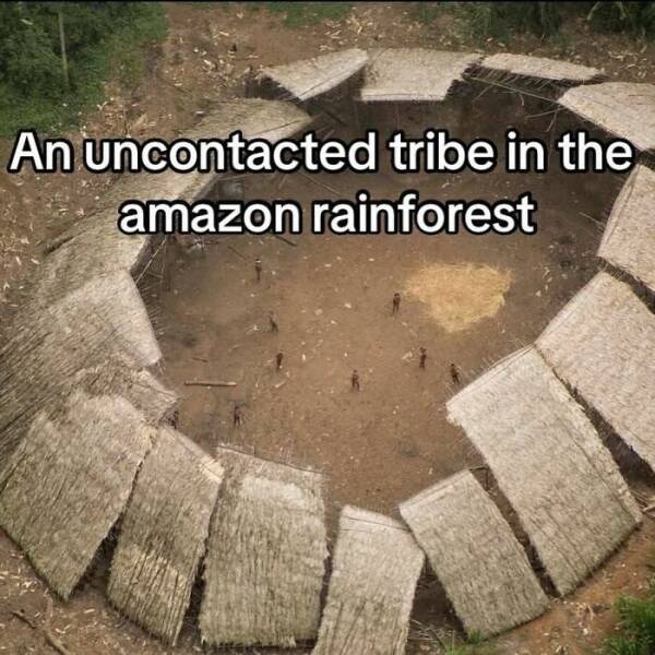 Intriguing Finds For Inquisitive Minds