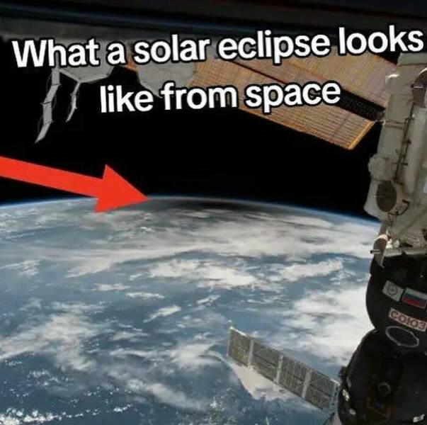 Intriguing Finds For Inquisitive Minds