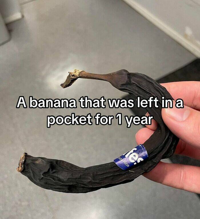 Intriguing Finds For Inquisitive Minds