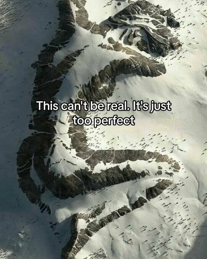 Intriguing Finds For Inquisitive Minds