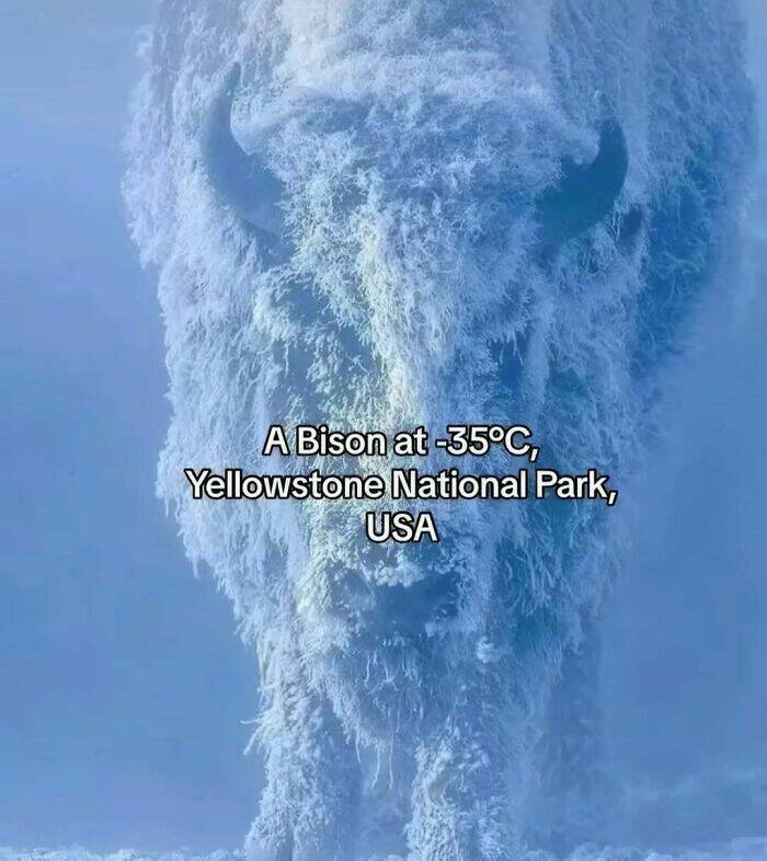 Intriguing Finds For Inquisitive Minds