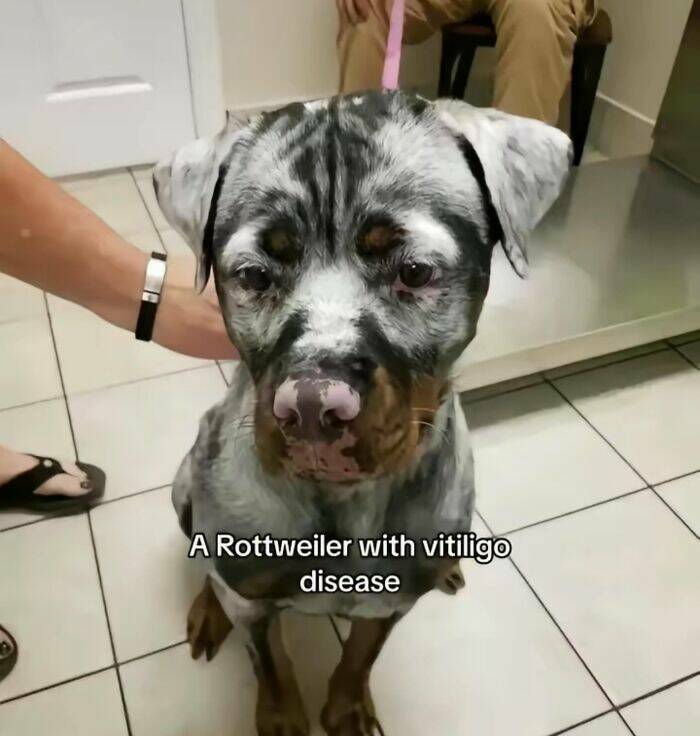 Intriguing Finds For Inquisitive Minds