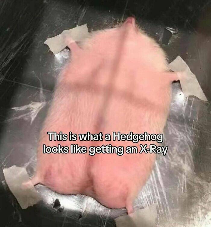 Intriguing Finds For Inquisitive Minds