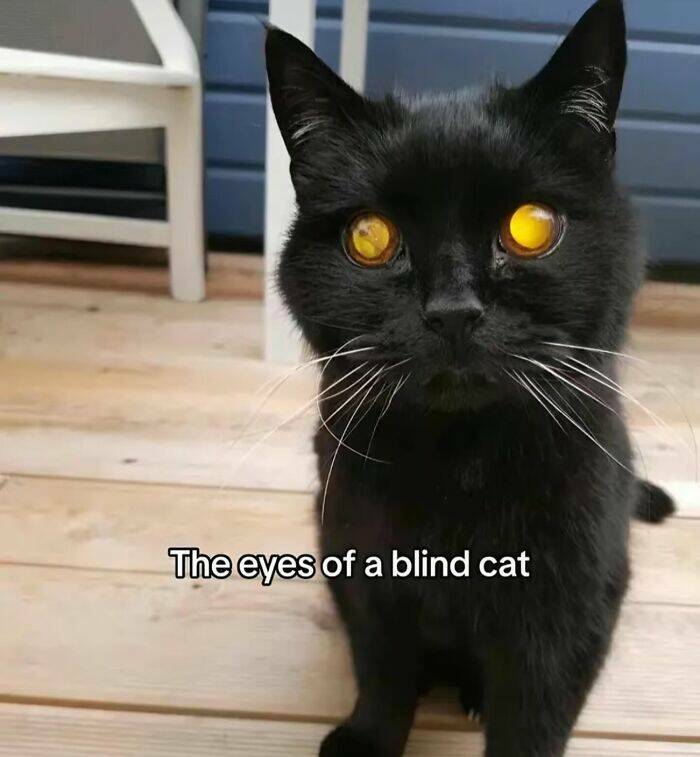 Intriguing Finds For Inquisitive Minds