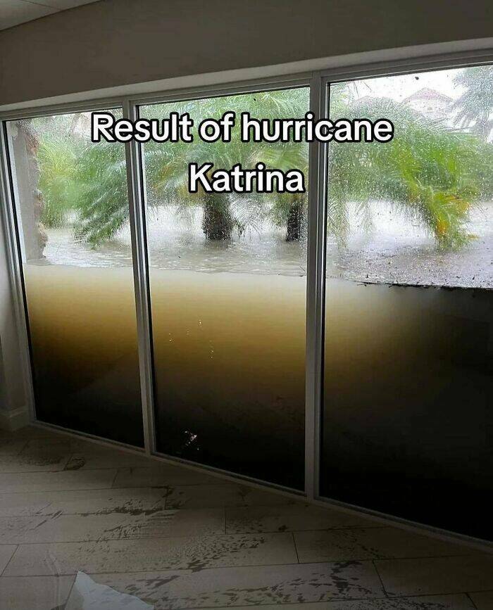 Intriguing Finds For Inquisitive Minds