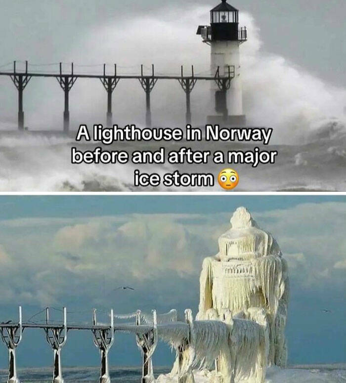 Intriguing Finds For Inquisitive Minds