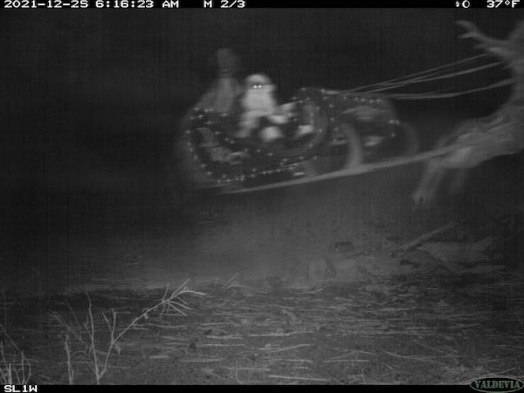 Raw And Wild Trail Cam Clips Raw And Wild Trail Cam Clips