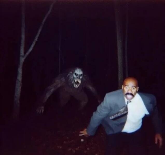 Raw And Wild Trail Cam Clips Raw And Wild Trail Cam Clips