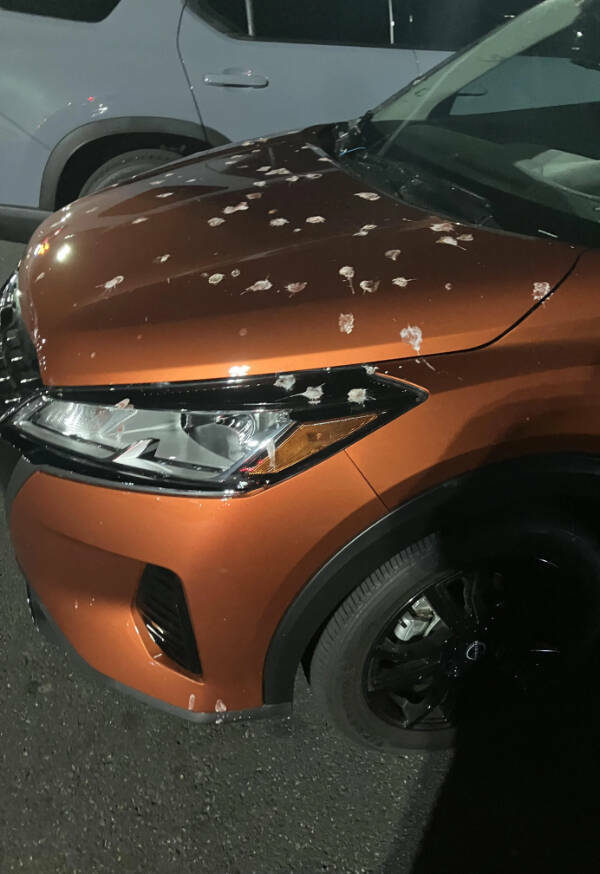 Someone Is Having A Bad Day