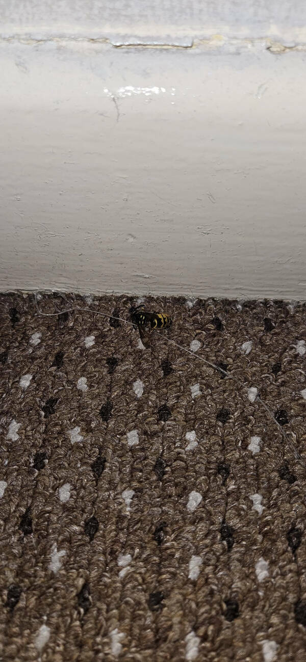 Someone Is Having A Bad Day