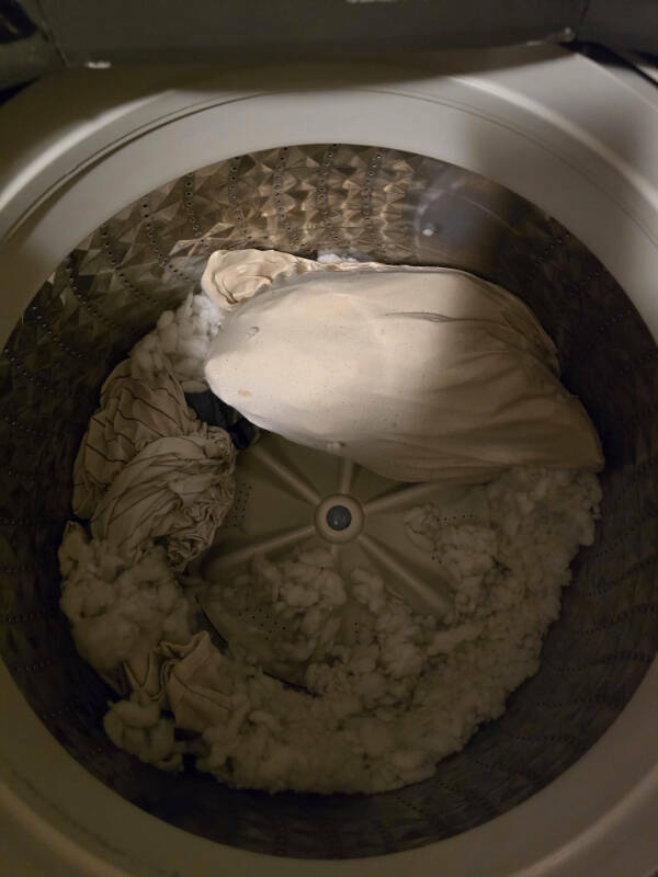 Someone Is Having A Bad Day