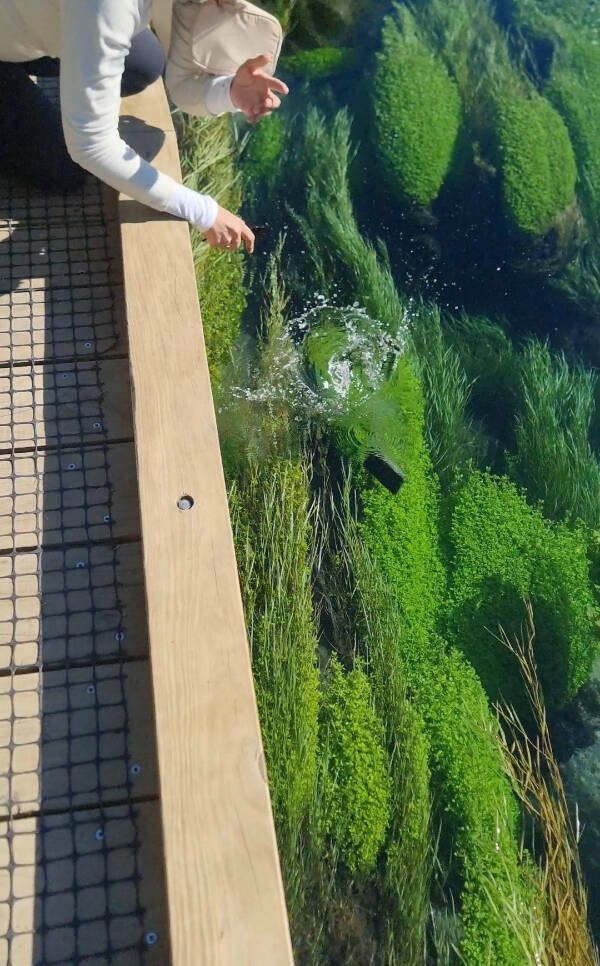 Someone Is Having A Bad Day