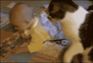 Daily Gifdump Daily Gifdump