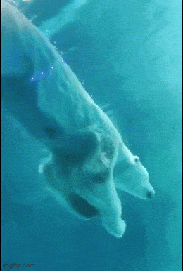 https://img.izismile.com/img/img15/20250510/gifs/daily_gifdump_4999_37.gif
