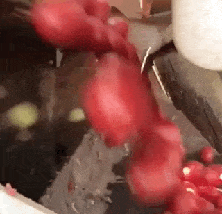https://img.izismile.com/img/img15/20250510/gifs/daily_gifdump_4999_57.gif
