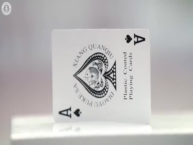 Largest Playing Card Domino Topple