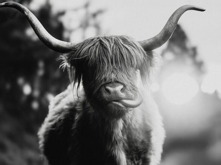 A Single Frame, Countless Narratives: Explore the Stunning Winning Photos from the 2025 Contest