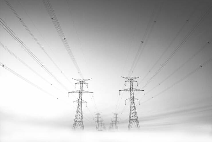 A Single Frame, Countless Narratives: Explore the Stunning Winning Photos from the 2025 Contest