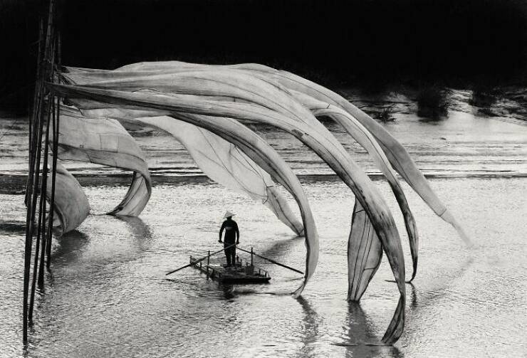 A Single Frame, Countless Narratives: Explore the Stunning Winning Photos from the 2025 Contest