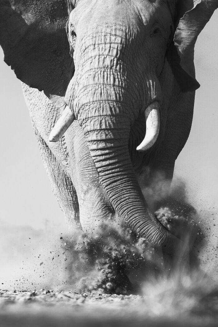 A Single Frame, Countless Narratives: Explore the Stunning Winning Photos from the 2025 Contest