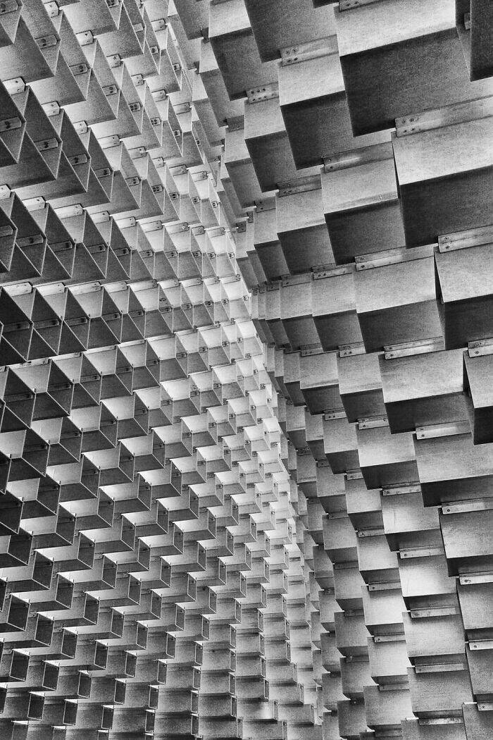 A Single Frame, Countless Narratives: Explore the Stunning Winning Photos from the 2025 Contest