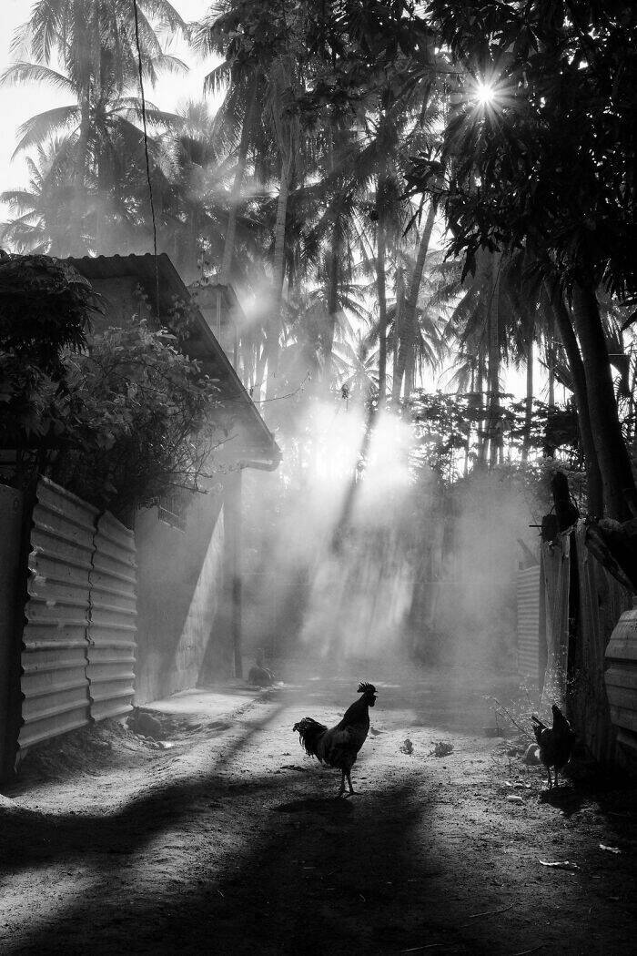 A Single Frame, Countless Narratives: Explore the Stunning Winning Photos from the 2025 Contest