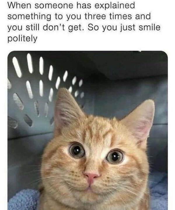 Cancel Your Plans, It’s Cat O’Clock!