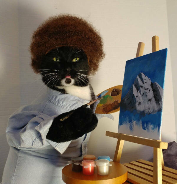 Cancel Your Plans, It’s Cat O’Clock!