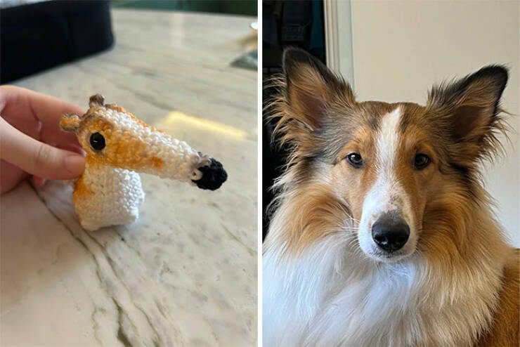 Crochet Creations So Good, You’ll Want To Hook Right Now