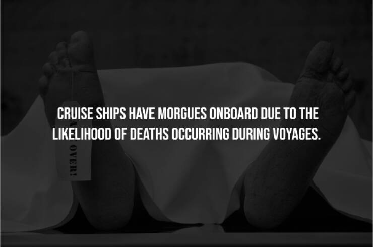 Dark Secrets Lurking In Plain Sight Dark Secrets Lurking In Plain Sight