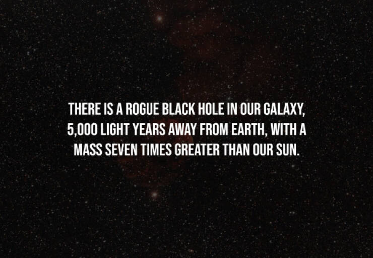 Dark Secrets Lurking In Plain Sight Dark Secrets Lurking In Plain Sight