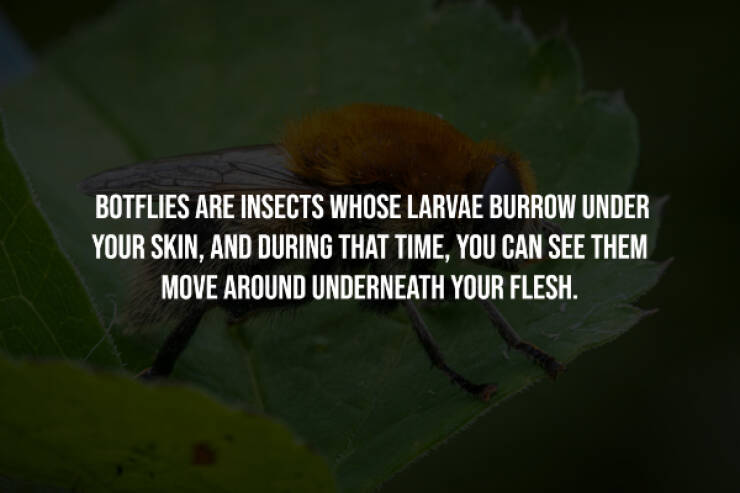 Dark Secrets Lurking In Plain Sight Dark Secrets Lurking In Plain Sight