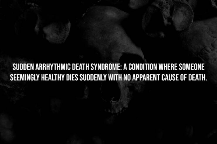 Dark Secrets Lurking In Plain Sight Dark Secrets Lurking In Plain Sight