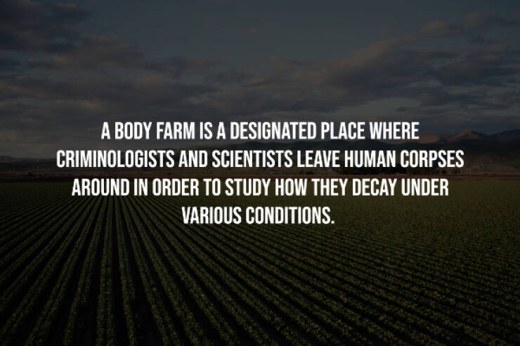 Dark Secrets Lurking In Plain Sight Dark Secrets Lurking In Plain Sight